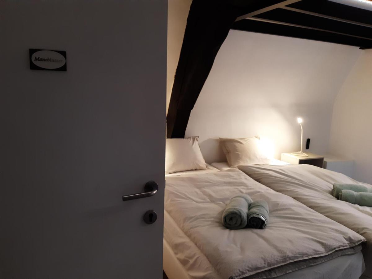 Het Maelslot Apartment Mechelen Exterior foto